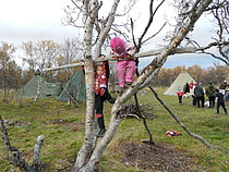 To små klatremuser. Govvat/Foto: Inga-Maja Jernsletten.