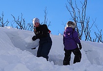 Å grave snøhuler er hardt arbeid for alle.  Foto: Charles Petterson.