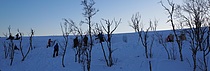 Kantgropene/snøhulene begynner å bli ferdig.  Foto: Elisabeth Reisænen.