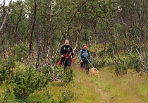 To som fornøyd vandrer opp Ilarstien på vei til Ilars friluftscamp.  Govat/foto: Charles Petterson